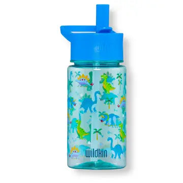 Dinosaur land water bottle