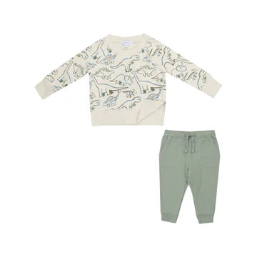 Artsy Dino Raglan Sweatshirt and jogger set