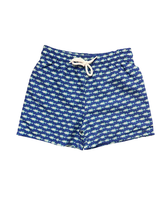 Bait fish blue swim trunks