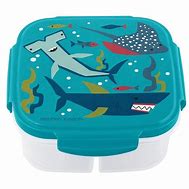 shark snack box