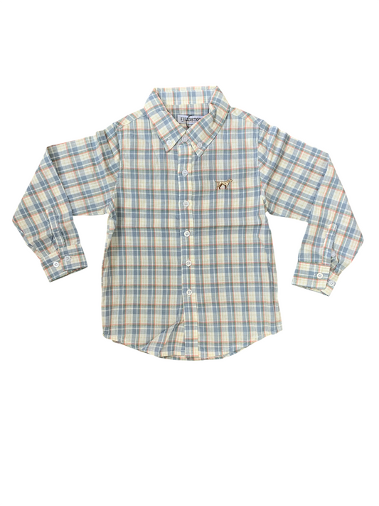 Stapleton Button Down