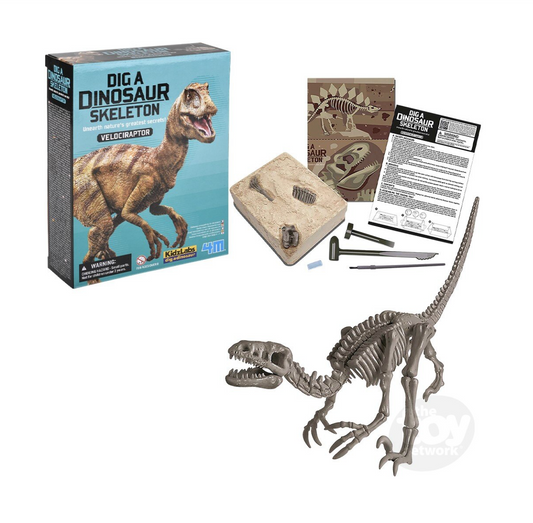 Dig a Dino Skeleton