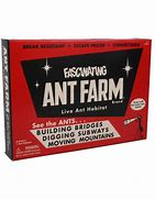 Retro ant farm