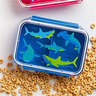 shark bento box