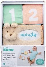 Milestone n moments block set